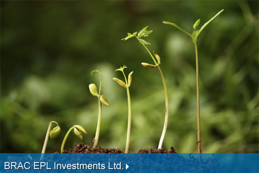 BRAC EPL Investments Ltd.